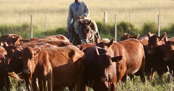La Nación / Sector productivo sostuvo al país en medio de la incertidumbre del covid