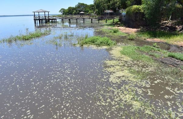 Florecimiento de cianobacterias en las orillas del lago en San Bernardino - Nacionales - ABC Color