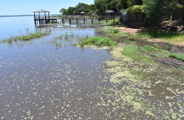 Florecimiento de  cianobacterias   en las orillas del   lago  en San Bernardino - Nacionales - ABC Color