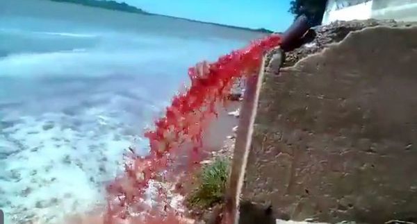 Fiscalía pide proceso penal por la contaminación en el río Paraguay - Nacionales - ABC Color