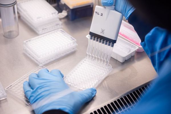 Nueva cepa eleva la tasa de reproducción del covid en Reino Unido, según estudio - Ciencia - ABC Color