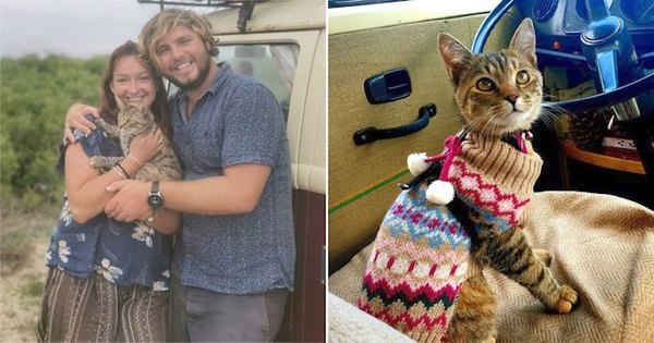 Crónica / Pareja se quedó varada por no dejar a su gatita