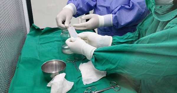 La Nación / Realizan primer procesamiento de tejido cardiaco