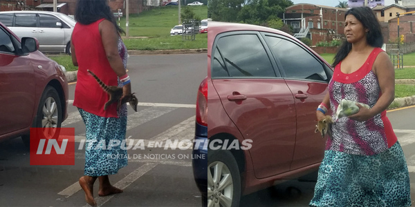 ACCIONAN PARA EVITAR VENTAS DE ANIMALES SILVESTRES EN ENCARNACIÓN
