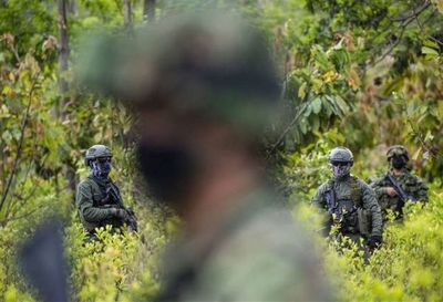 Perú destruyó en 2020 unas 42,5 toneladas de drogas, entre ellas 30 son de cocaína