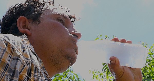 La Nación / Recuerdan que con el calor es importante hidratarse con agua, frutas y verduras