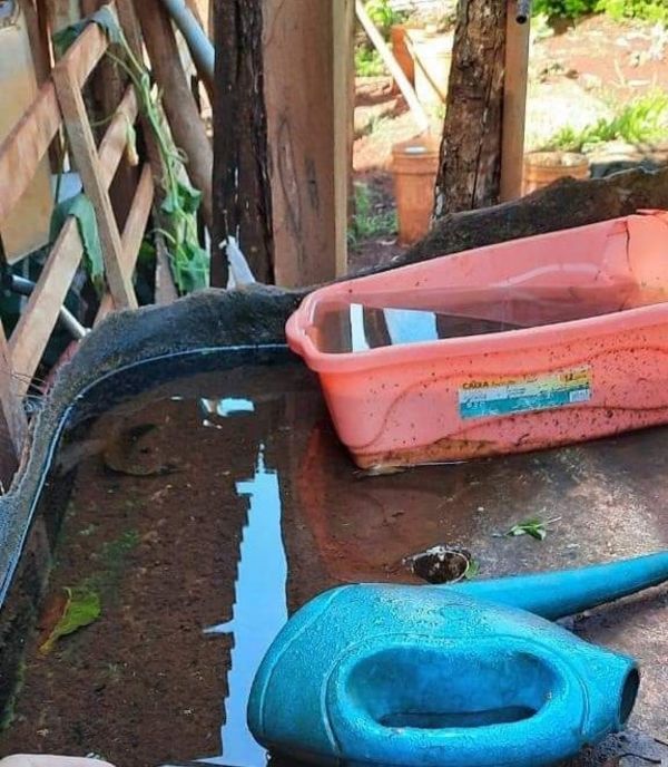 Senepa pide no bajar la guardia ante el dengue - Nacionales - ABC Color