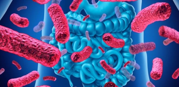 HOY / Cómo equilibrar el ecosistema intestinal tras excesos de fin de año: ayuno y alimentos de estación