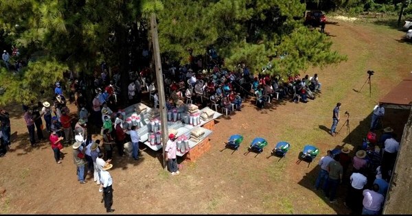 La Nación / Productores de Itapúa recibieron insumos del MAG