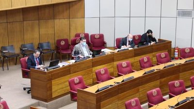 Ningún colorado aparece entre los senadores más productivos