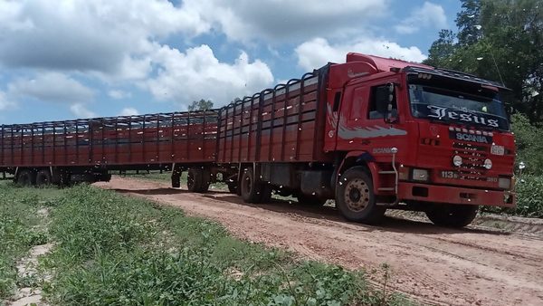 Detienen a seis presuntos abigeos en Alto Paraguay