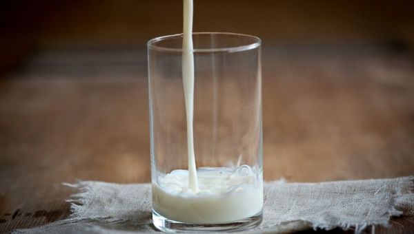 La industria láctea registró un volumen de producción histórico y busca superar su récord en 2021