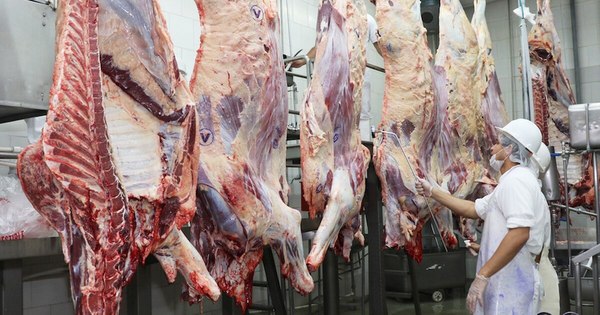 La Nación / Paraguay cerró el 2020 con 271 mil toneladas de carne exportada