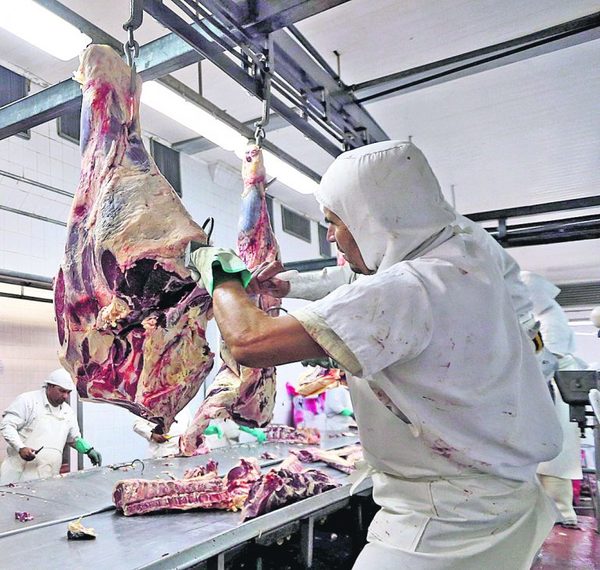 Argentina: entre enero y noviembre exportó un 11,9% más de carne bovina