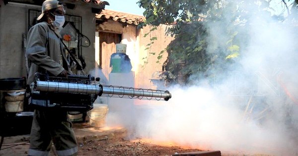 La Nación / Senepa reporta 230 notificaciones semanales de dengue