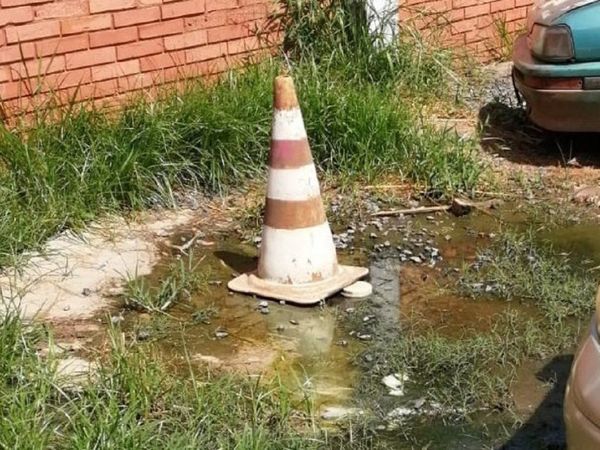 Notificaciones de dengue se elevan a 230 por semana