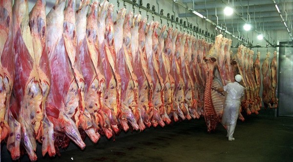 Inspección de frigoríficos es el último paso para exportar carne a Estados Unidos | OnLivePy