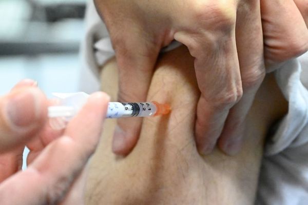 México recibe su primer lote de vacunas de Pfizer del año - Mundo - ABC Color