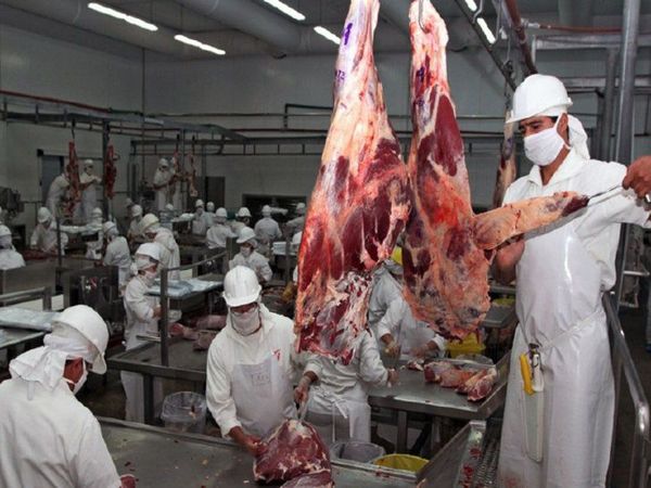 EXPORTACIONES DE CARNE MARCARON UN NUEVO RÉCORD HISTÓRICO EN 2020