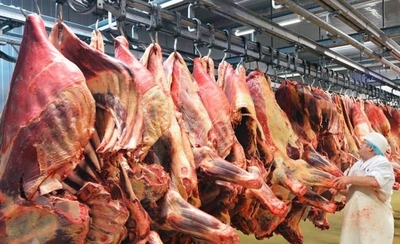HOY / Paraguay registra récord de exportación de carne bovina en el 2020