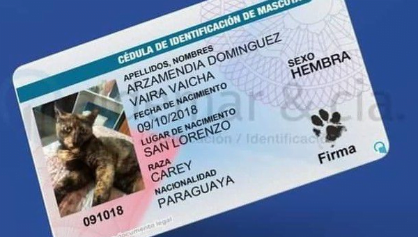 Por fin “Vaira Vaícha” ya tiene su cédula, con aval de la Fiscalía - Noticiero Paraguay