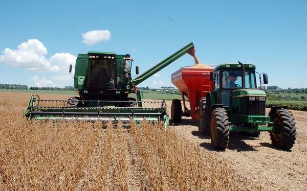 Productores esperan alto rendimiento de soja tras sostenidas lluvias - ABC en el Este - ABC Color