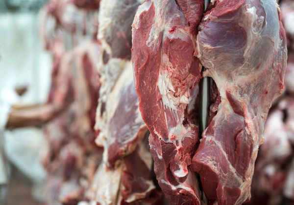 Incertidumbre en exportación de carne paraguaya en el 2021 debido a la pandemia