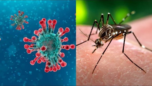 CDE: Analizan probable primer caso fatal de «covidengue» | OnLivePy