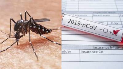 Analizan probable primer caso de un combo fatal entre Covid-19 y dengue