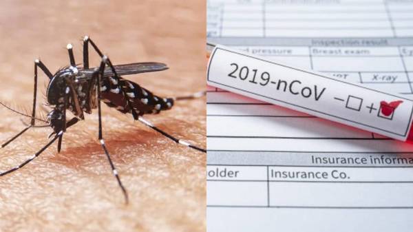 Analizan probable primer caso de un combo fatal entre Covid-19 y dengue