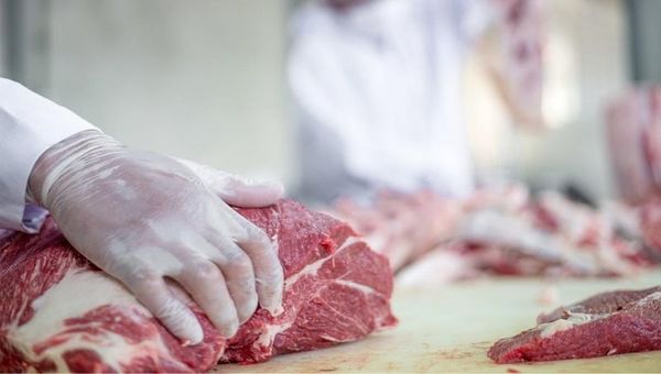 Paraguay exportó un volumen histórico de carne en el 2020 y este año buscará ingresar a nuevos mercados