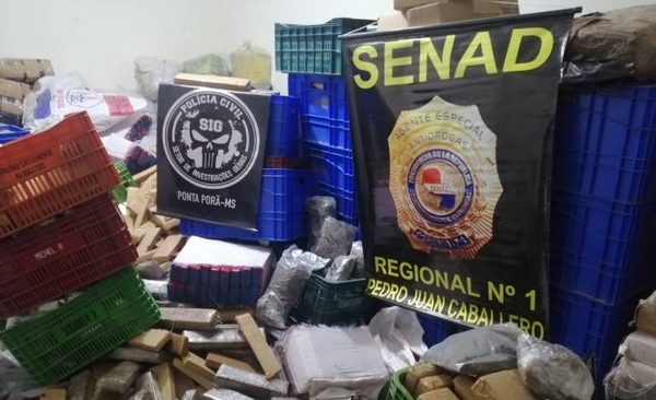 HOY / Policía brasileña y Senad incautan 660 kilos en Pedro Juan y Ponta Porâ