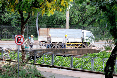 Una gran cantidad de camalote es retirada del Lago de la República