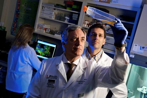 Células madre de tejido umbilical prometen reparación de daños por covid-19 - Ciencia - ABC Color