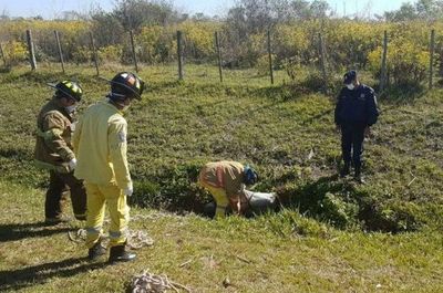 Condenan a 20 años de cárcel a hombre que asesinó a su pareja - Nacionales - ABC Color