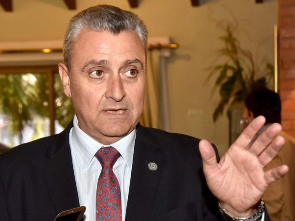 "Villamayor y Lichi se deben ir o se debe activar juicio político", afirma Hugo Estigarribia