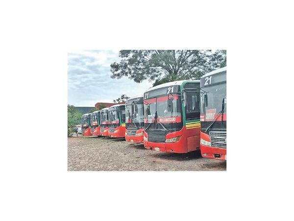 Línea 21, sancionada por regular buses