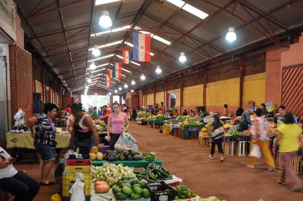 Lluvia favorece los diferentes rubros de cultivo de productores feriantes