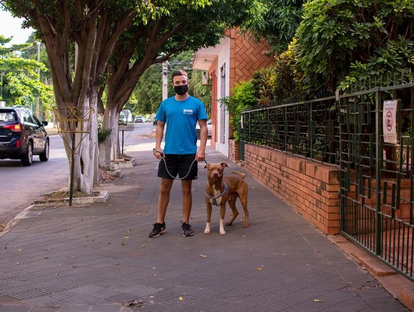 Paseos por el barrio para los mimados de la casa