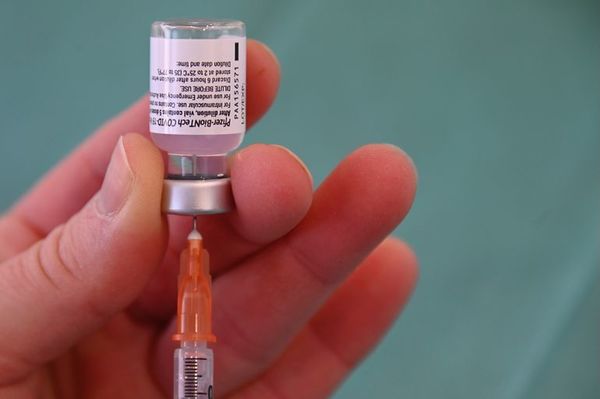 Vacuna de Pfizer parece funcionar contra una mutación de las nuevas variantes  - Ciencia - ABC Color