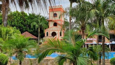 Un oasis en el bosque
