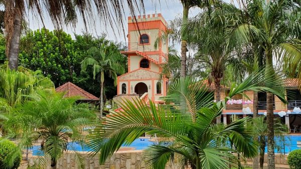 Un oasis en el bosque