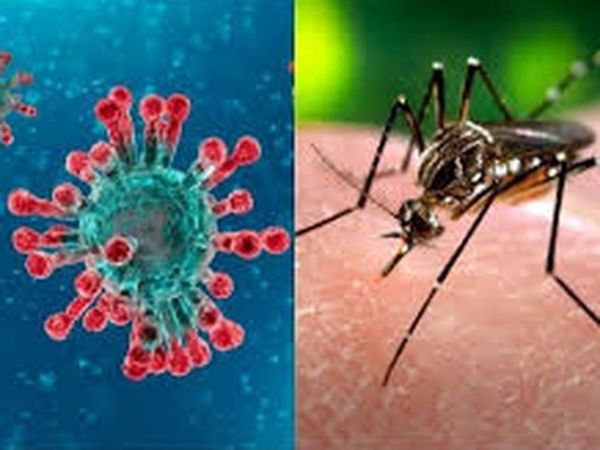 Primeros casos simultáneos de COVID-19 y dengue en pacientes
