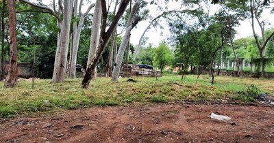 La Nación / Denuncian ocupación ilegal de un predio en inmediaciones del Ineram
