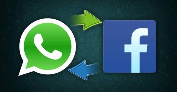 WhatsApp: lo que debes aceptar para seguir usando la app