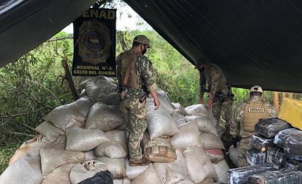 HOY / Incautan más de 8 toneladas de marihuana en campamento narco en Canindeyú