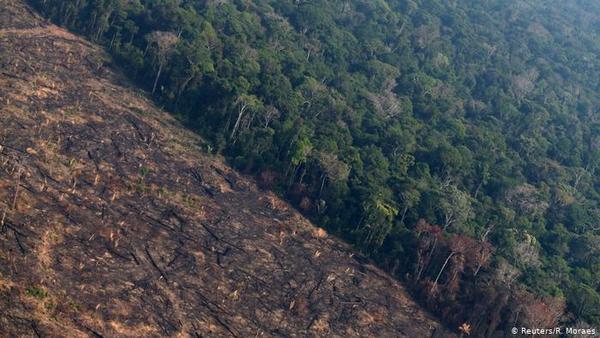 "La segunda peor marca anual": La Amazonía brasileña perdió cerca de 8.500 kilómetros cuadrados de selva en 2020 » Ñanduti