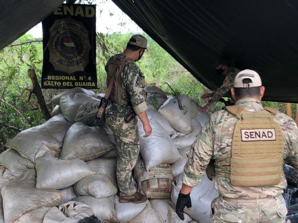 Destruyen campamento narco y más de 8 toneladas de marihuana