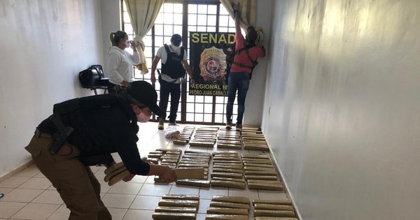 La Nación / Alquilaban departamento para resguardar marihuana en Pedro Juan Caballero