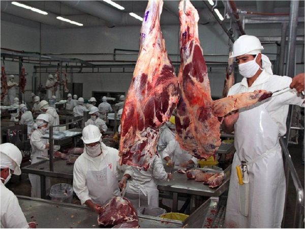 Paraguay logra récord de  envíos de carne a Chile
